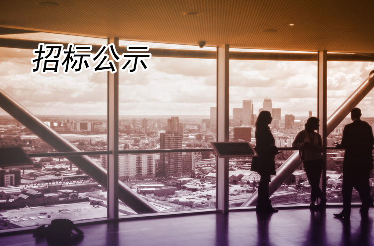 揚(yáng)州全域旅游有限公司零星維修改造工程成交結(jié)果公告